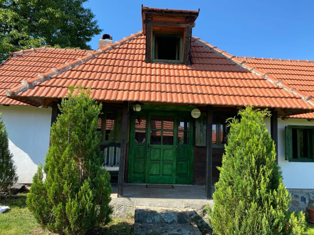 Camp Viljamovka Appartement Kremna Buitenkant foto
