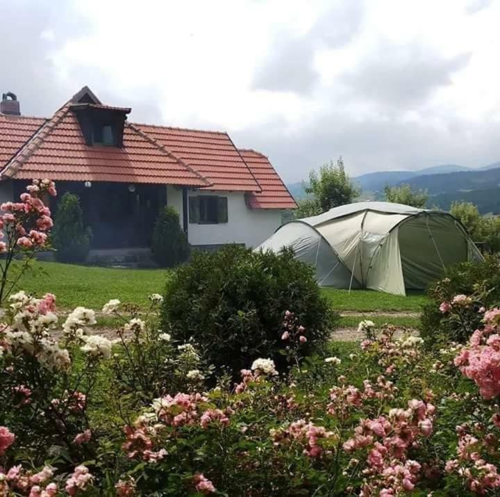 Camp Viljamovka Appartement Kremna Buitenkant foto
